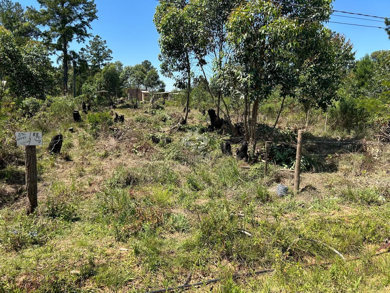 Terreno, à venda, Lageado - Porto Alegre — foto 3