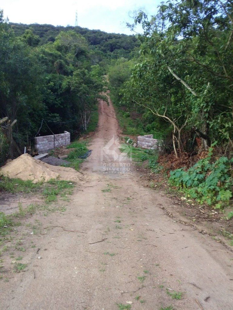 Terreno, à venda, Vila Nova - Porto Alegre — foto 4