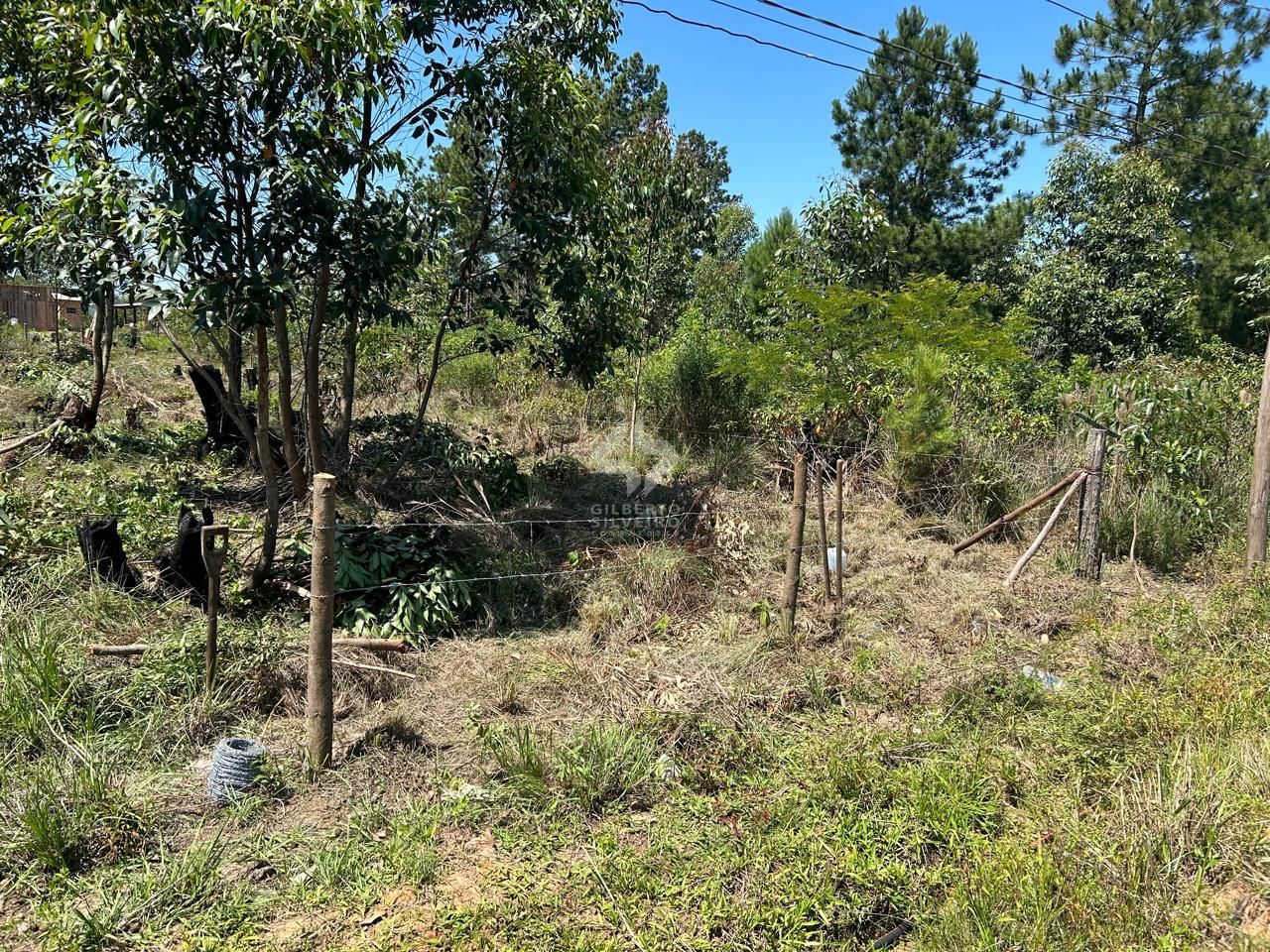 Terreno, à venda, Lageado - Porto Alegre — foto 4