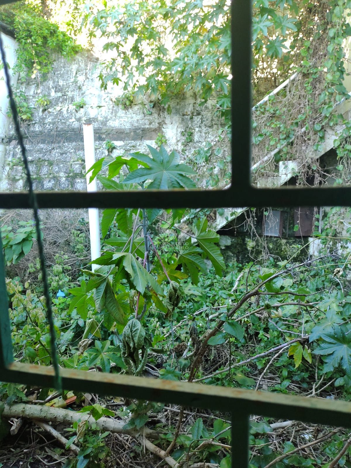 Casa, 3 quartos, à venda, 300 m², Jardim São Pedro - Porto Alegre — foto 5