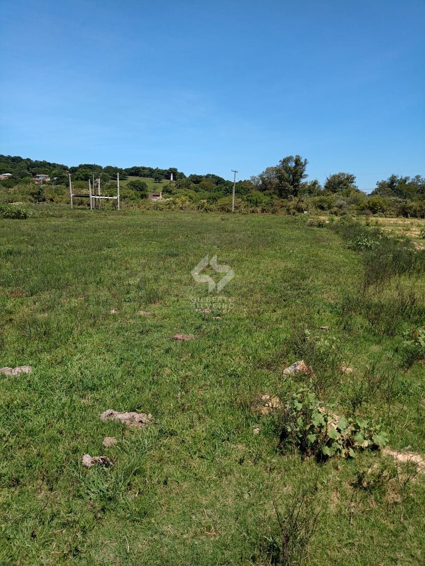 Terreno, à venda, Ponta Grossa - Porto Alegre — foto 3