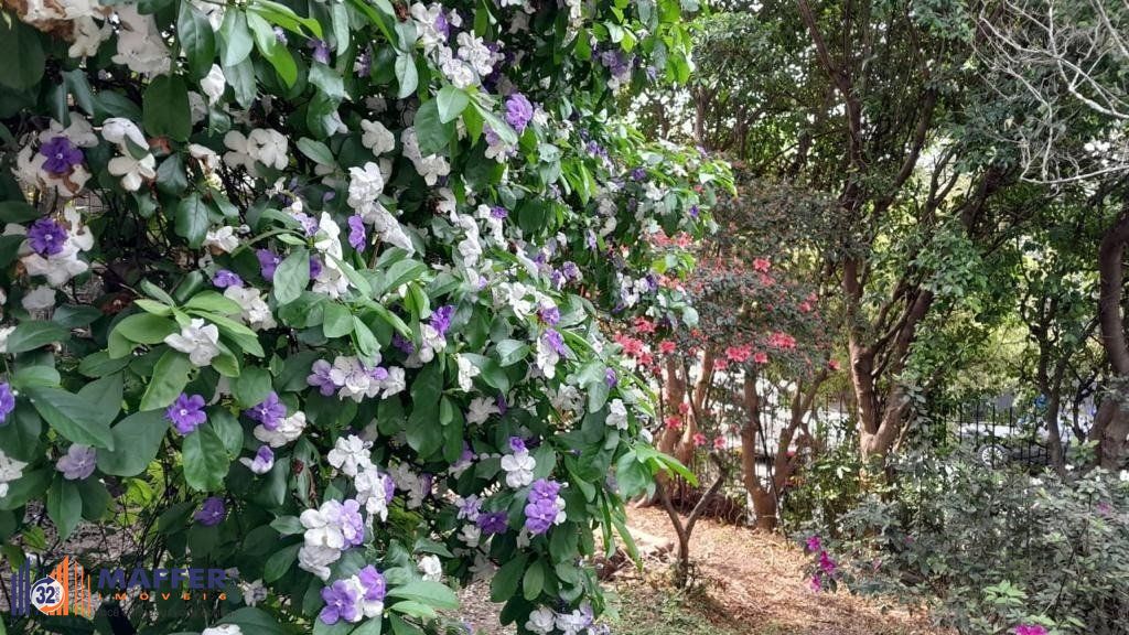 Casa, 6 quartos, à venda, 570 m², Santa Cecília - Porto Alegre — foto 2