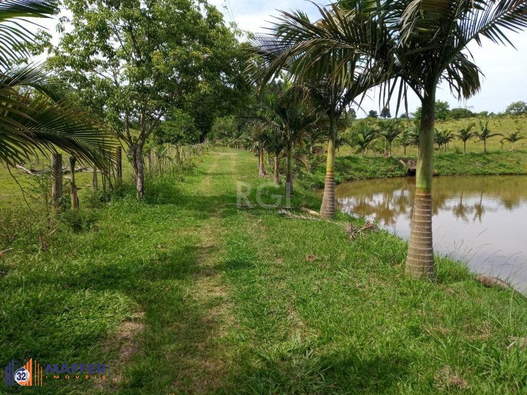 Sítio, 14 quartos, à venda, 36.842 m², Parque Itacolomi - Gravataí — foto 5