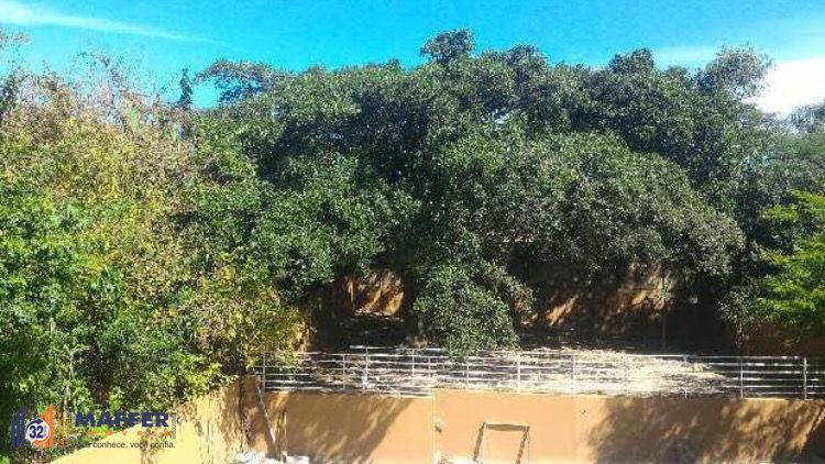 Apartamento, 2 quartos, 53 m² - Foto 15