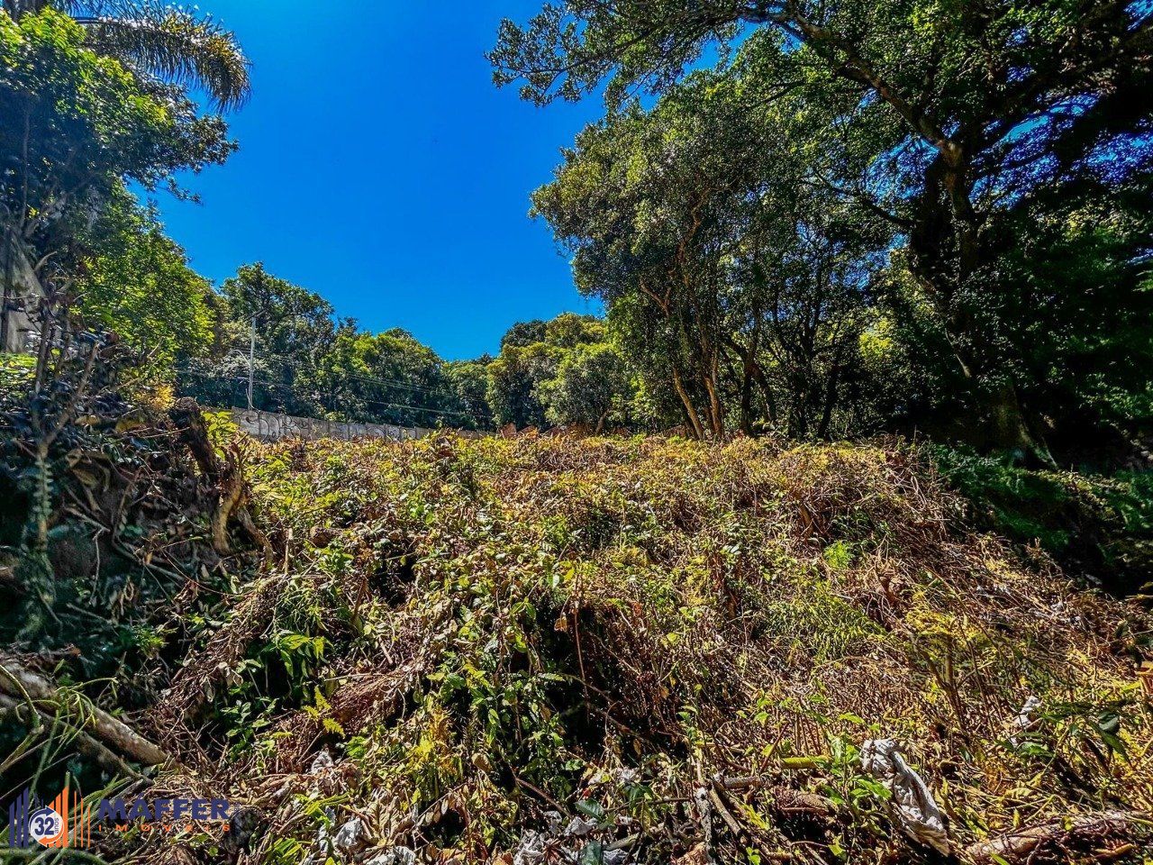 Terreno, à venda, Ipanema - Porto Alegre — foto 4
