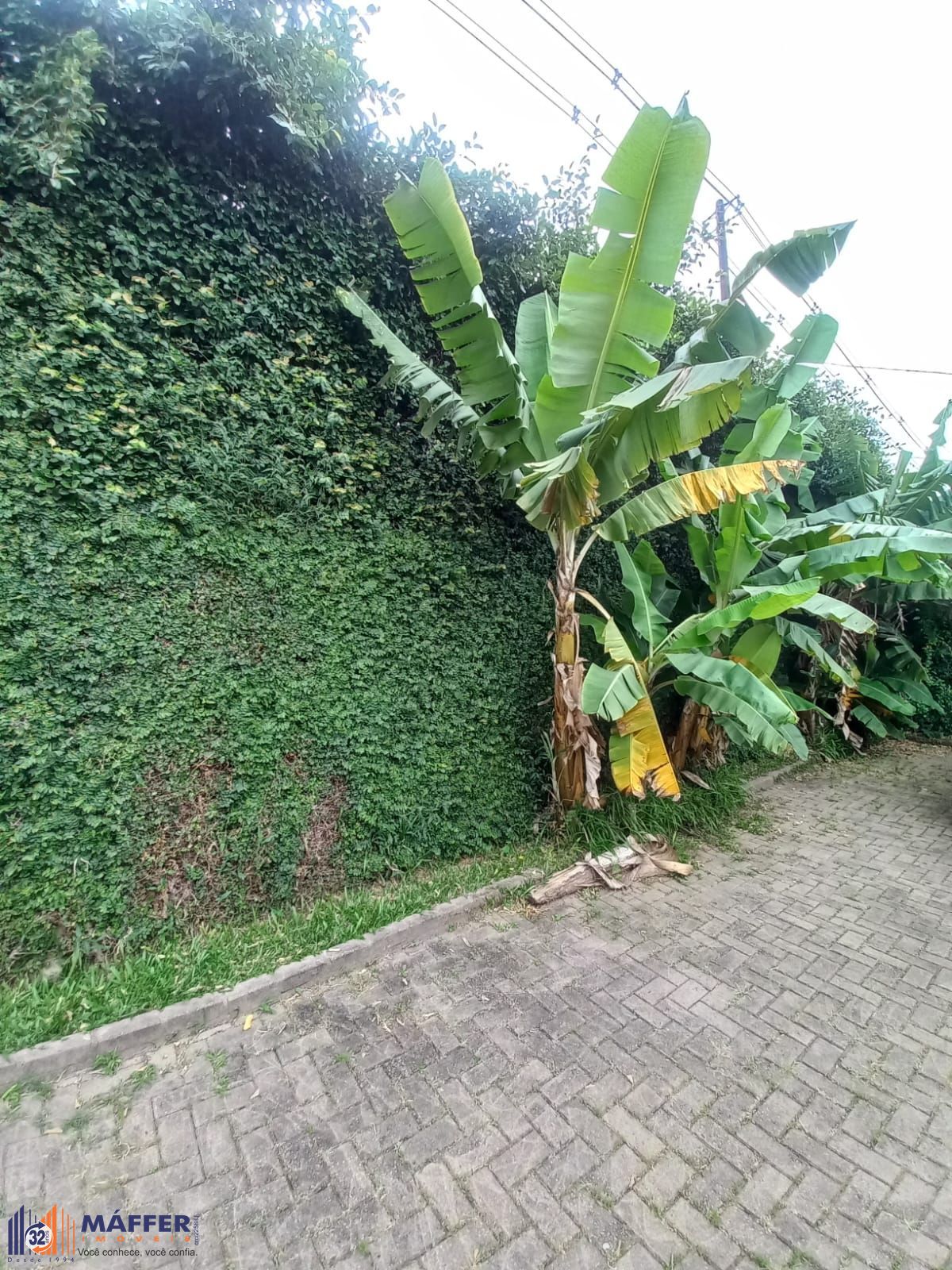 Casa, 6 quartos, 350 m² - Foto 27