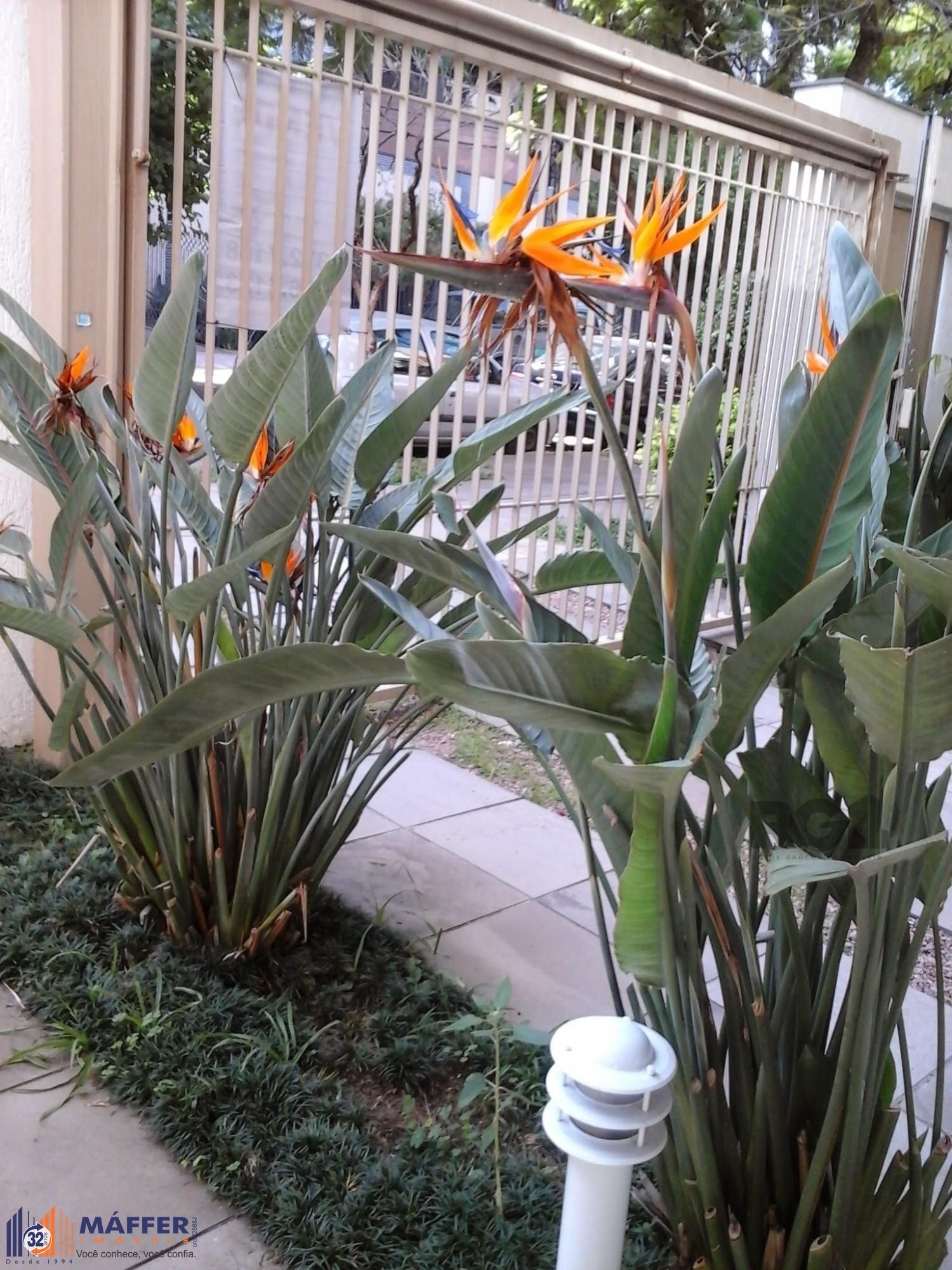 Apartamento, 2 quartos, 142 m² - Foto 24