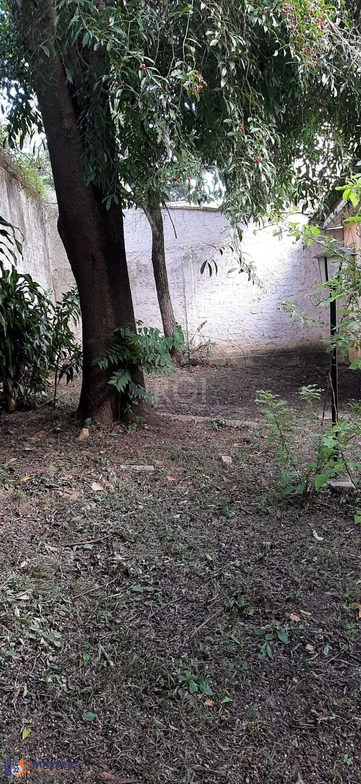 Casa, 6 quartos, 200 m² - Foto 8