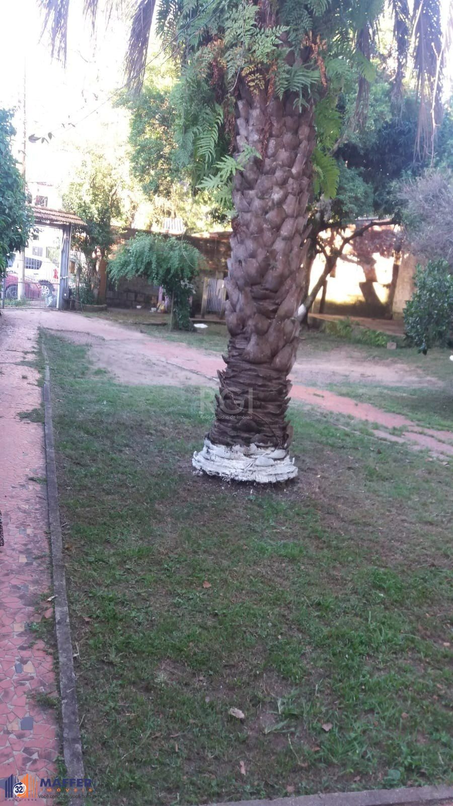 Casa, 6 quartos, 200 m² - Foto 7