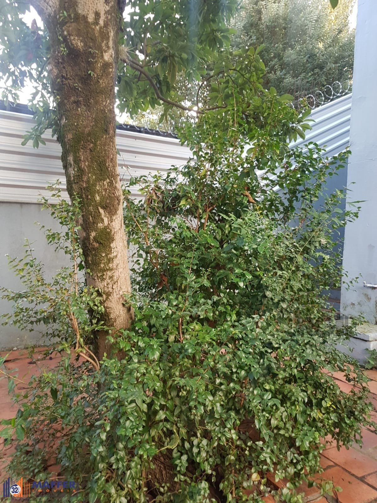 Prédio Inteiro, 254 m² - Foto 32
