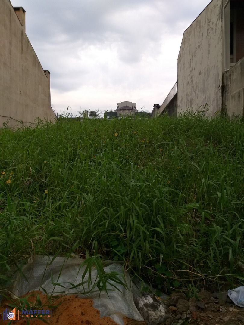 Terreno, à venda, Cristal - Porto Alegre — foto 2