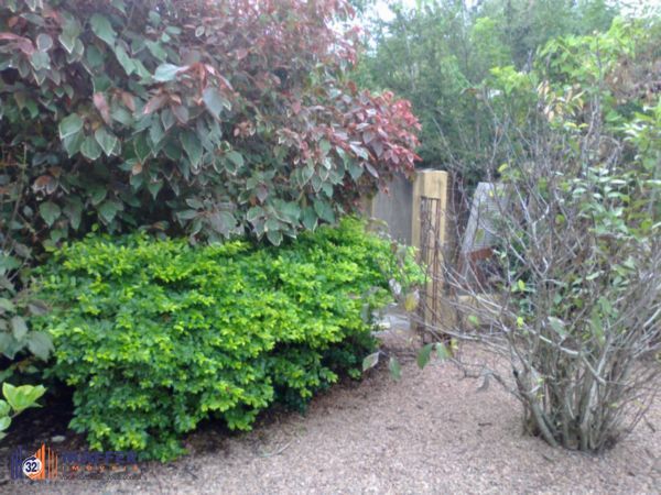 Casa, 3 quartos, 350 m² - Foto 20