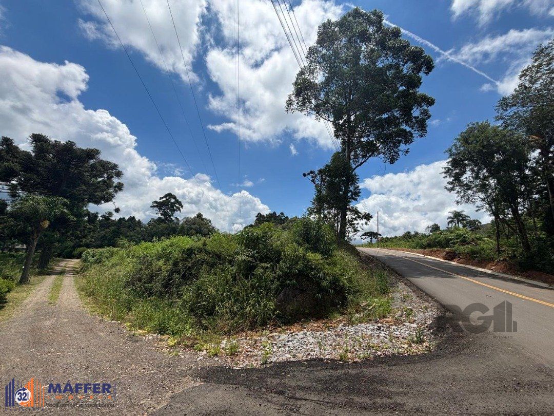 Sítio, 6 quartos, à venda, 227 m², Centro Histórico - Gramado — foto 5