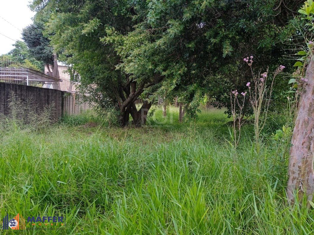 Terreno, à venda, Tristeza - Porto Alegre — foto 3