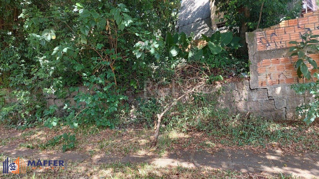 Terreno, à venda, Chácara das Pedras - Porto Alegre — foto 2