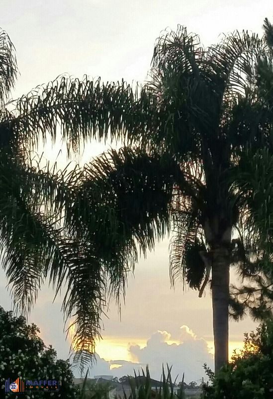 Terreno, à venda, Terraville - Porto Alegre — foto 3