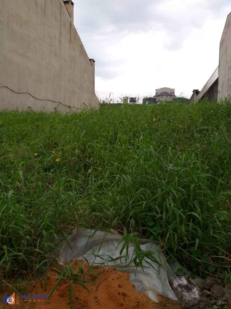 Terreno, à venda, Cristal - Porto Alegre — foto 3