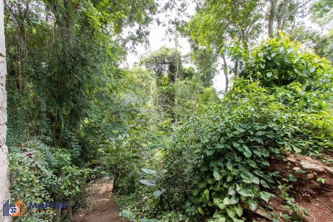 Casa, 3 quartos, 260 m² - Foto 41