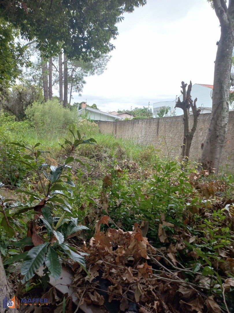 Terreno, 2167 m² - Foto 6