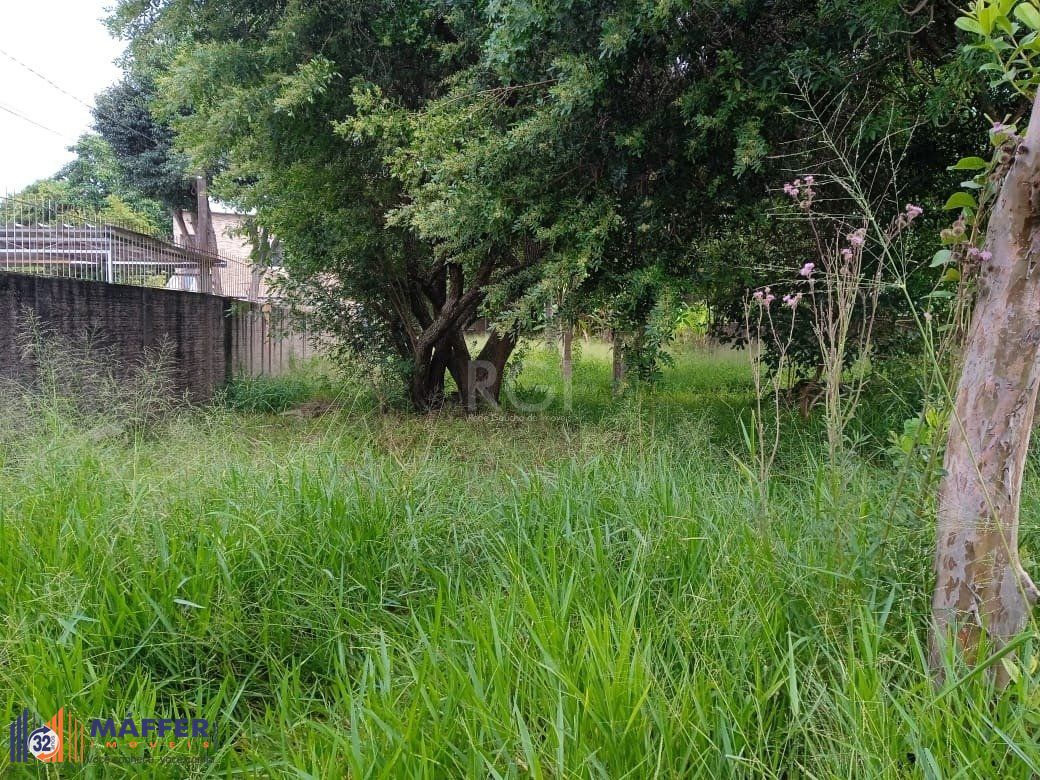 Terreno, à venda, Tristeza - Porto Alegre — foto 4