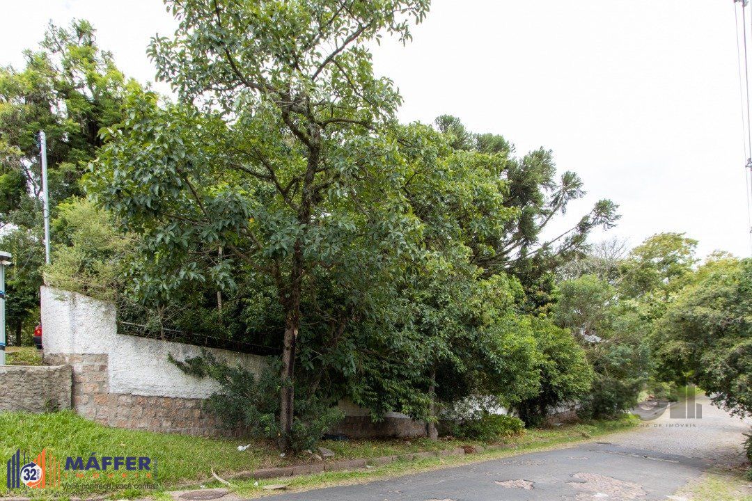 Terreno, 363.78 m², em Vila Conceição, em região elevada e livre de inundações