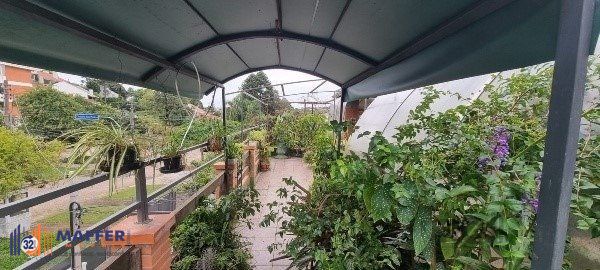 Casa, 4 quartos, 360 m² - Foto 14