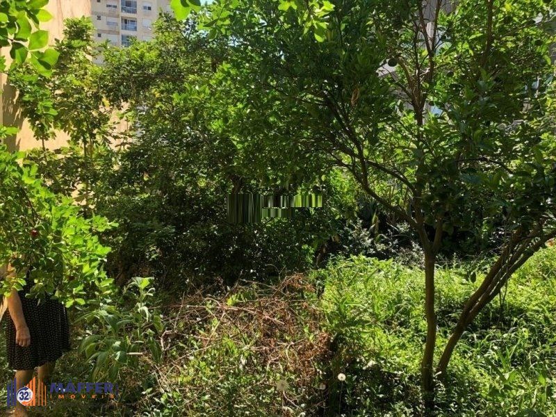 Terreno, 561 m² - Foto 13