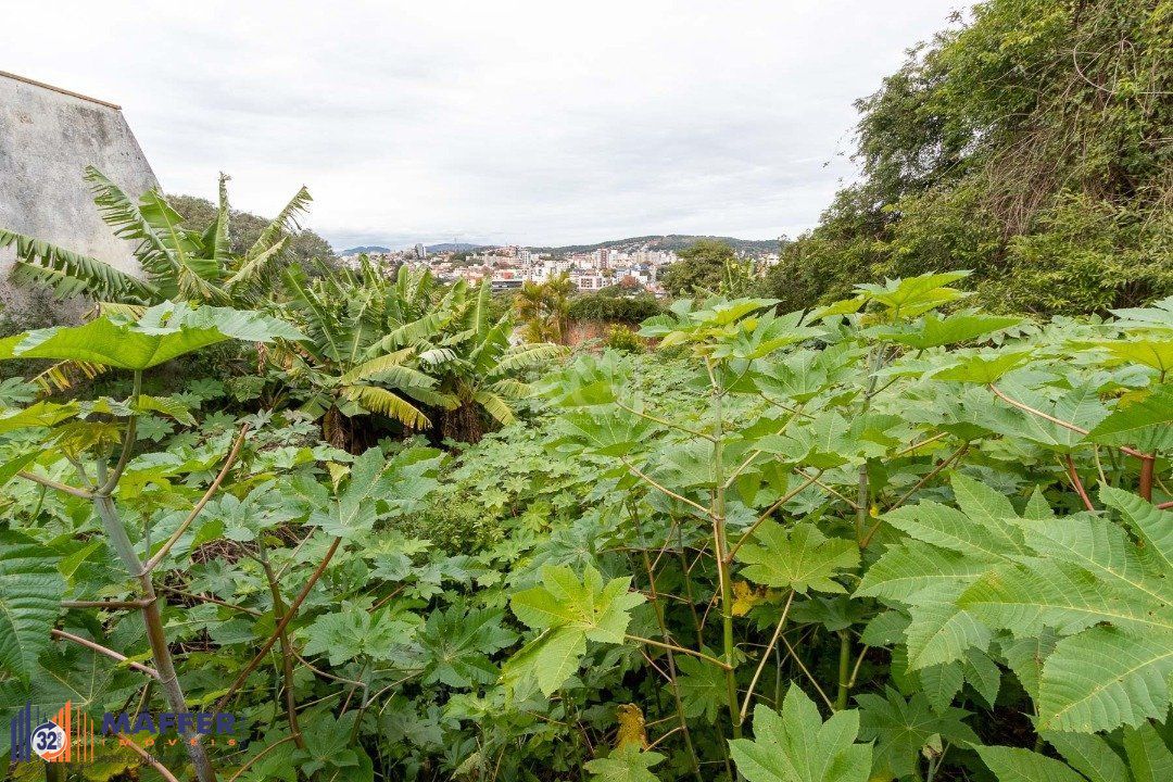 Terreno, à venda, Vila Assunção - Porto Alegre — foto 5