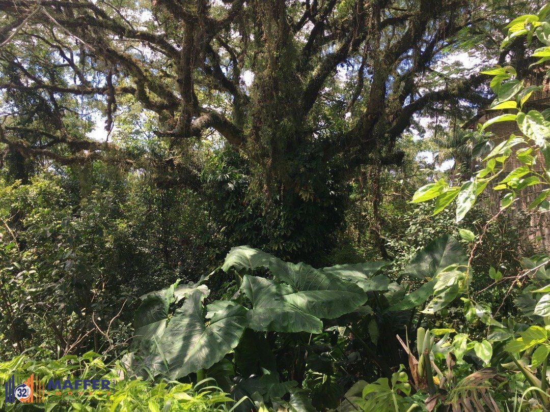Terreno, à venda, Tristeza - Porto Alegre — foto 5