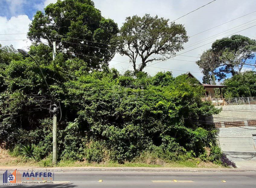 Terreno, 201 m² - Foto 3
