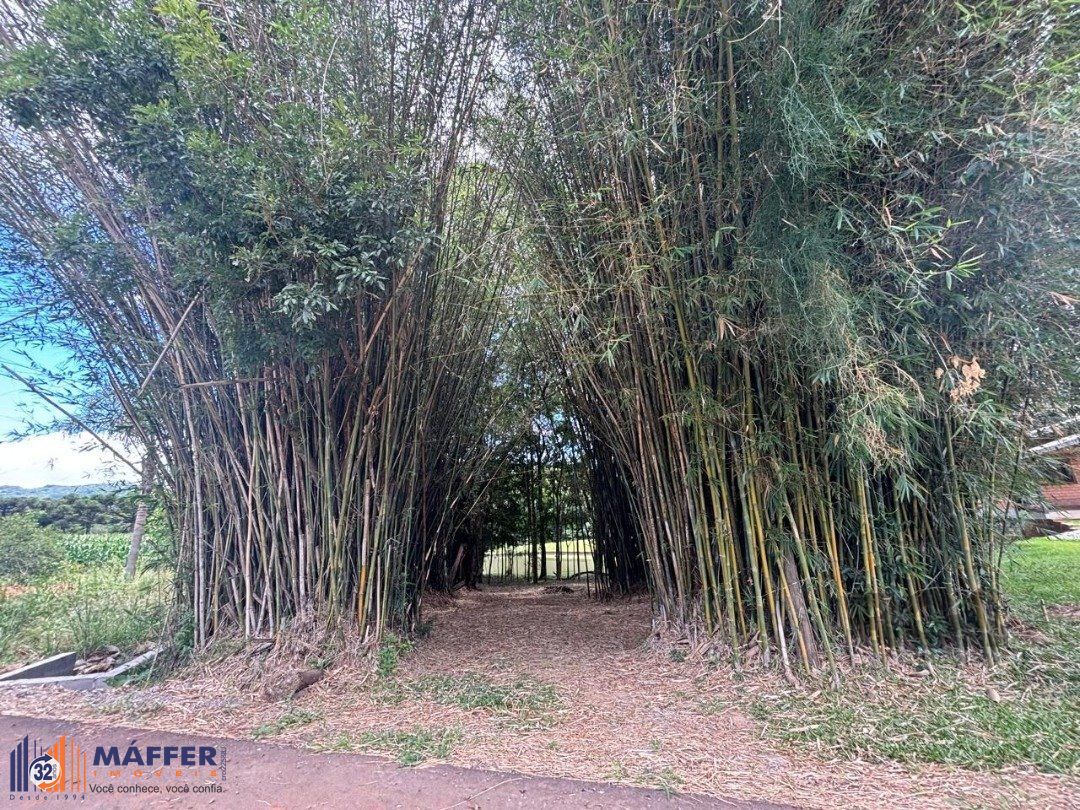 Sítio, 6 quartos, à venda, 227 m², Centro Histórico - Gramado — foto 4