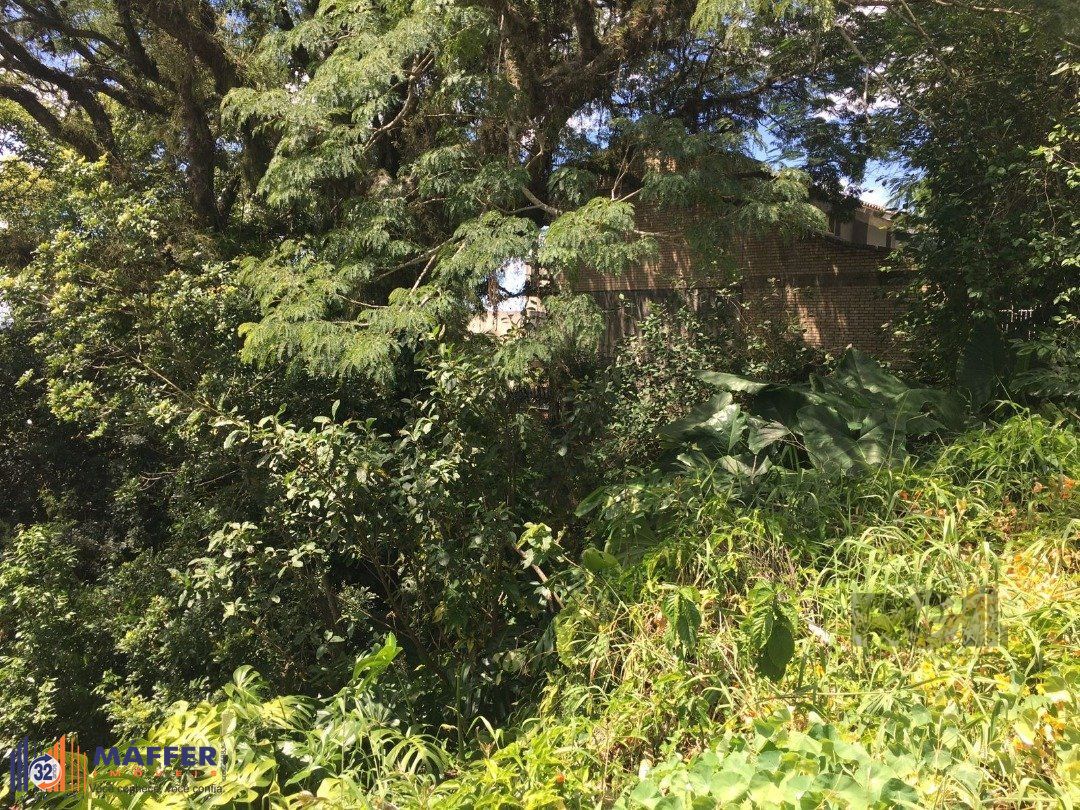 Terreno, 671 m² - Foto 4