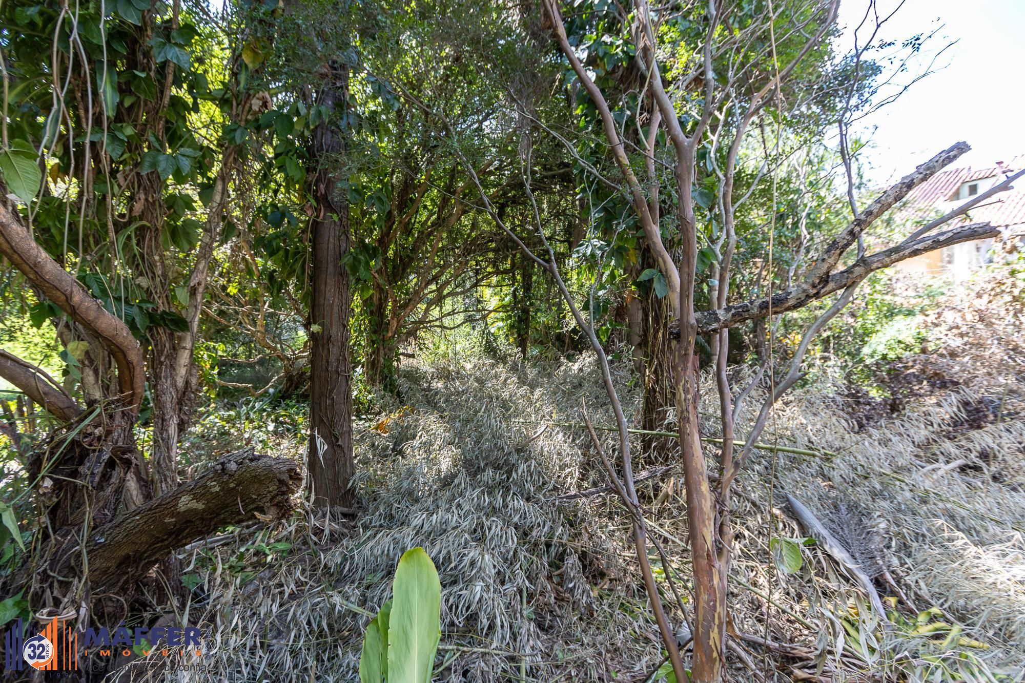 Terreno, 1 m² - Foto 13