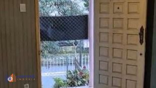 Casa, 2 quartos, 300 m² - Foto 4
