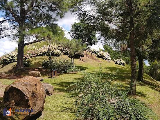 Terreno, à venda, Vale dos Pinheiros - Gramado — foto 4