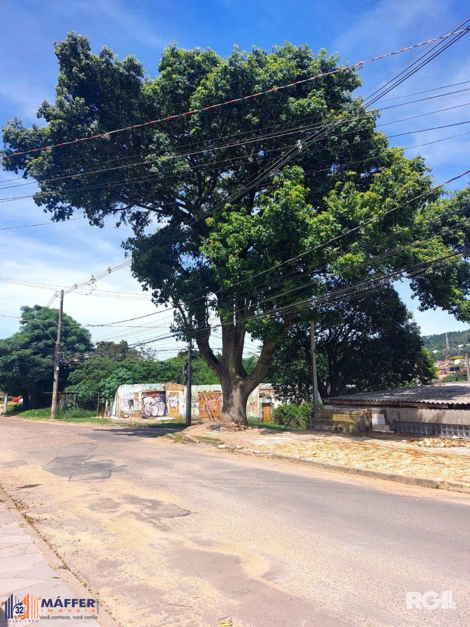 Casa, 3 quartos, 249 m² - Foto 79