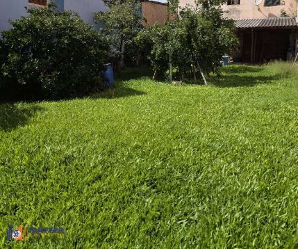 Terreno, 250 m² - Foto 6