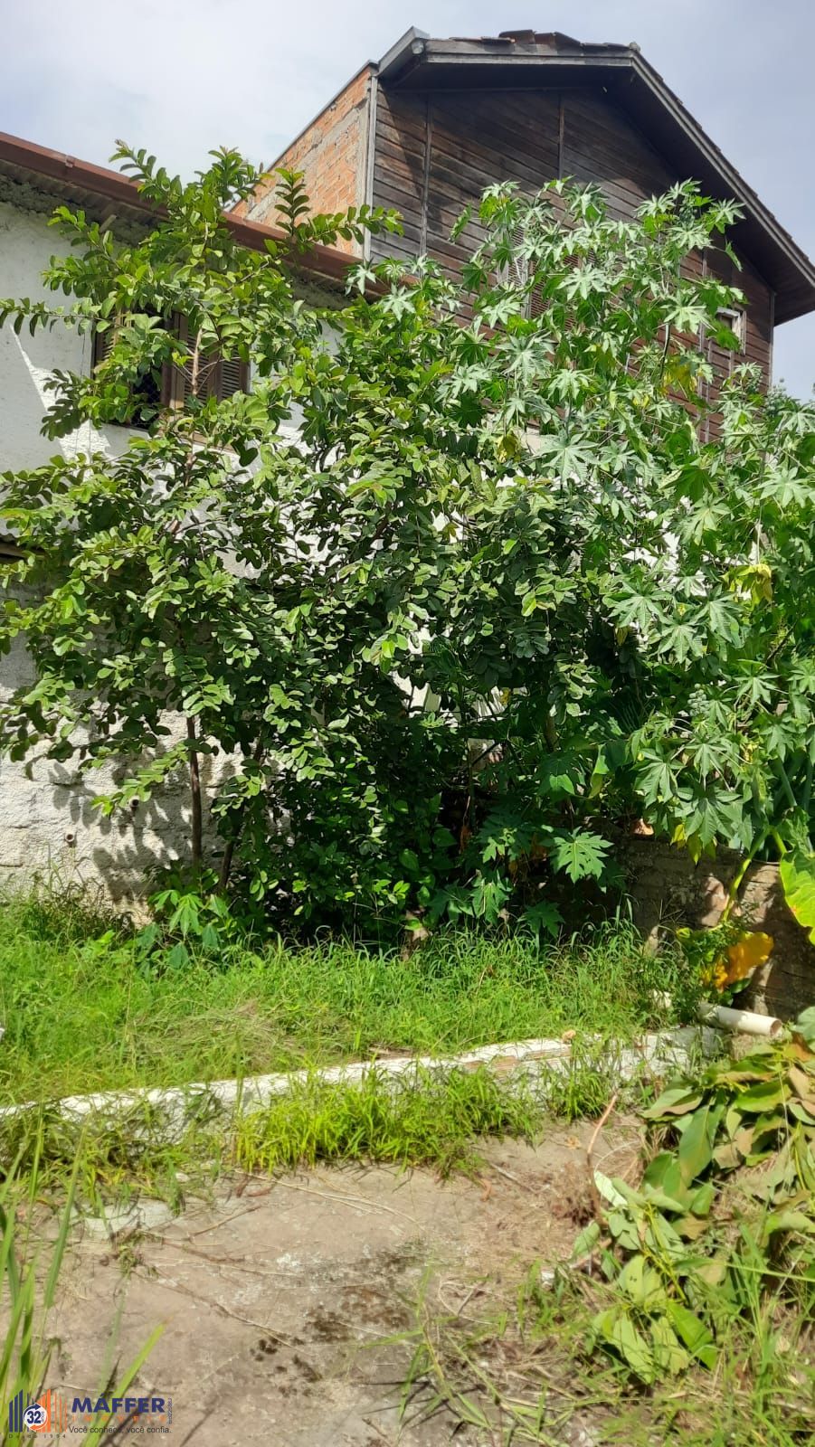 Casa, 3 quartos, 314 m² - Foto 33