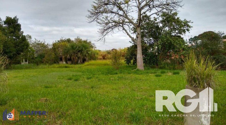 Terreno, 1 hectares - Foto 6
