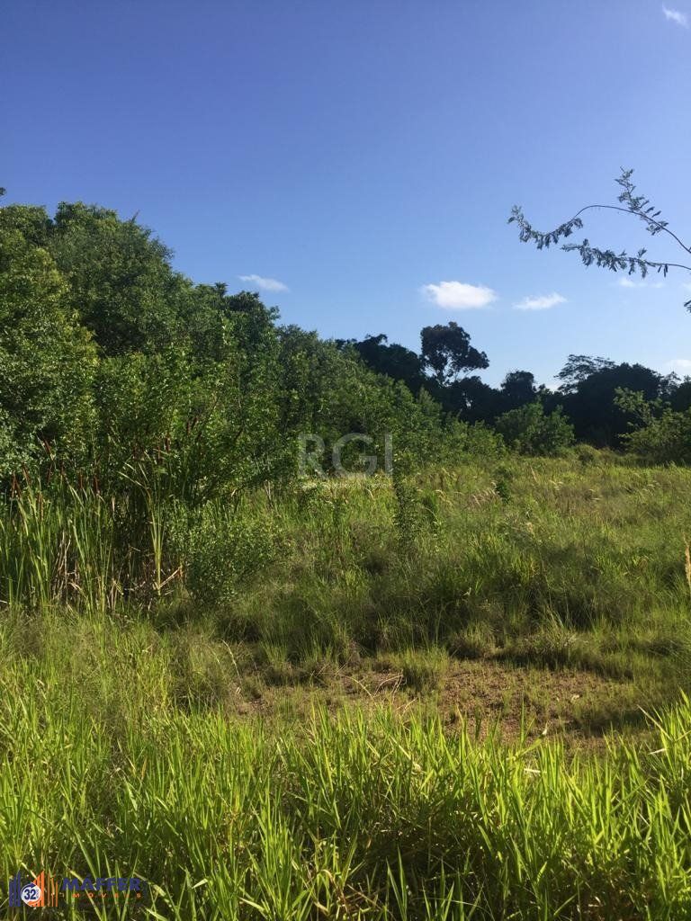 Terreno, 6436 m² - Foto 15