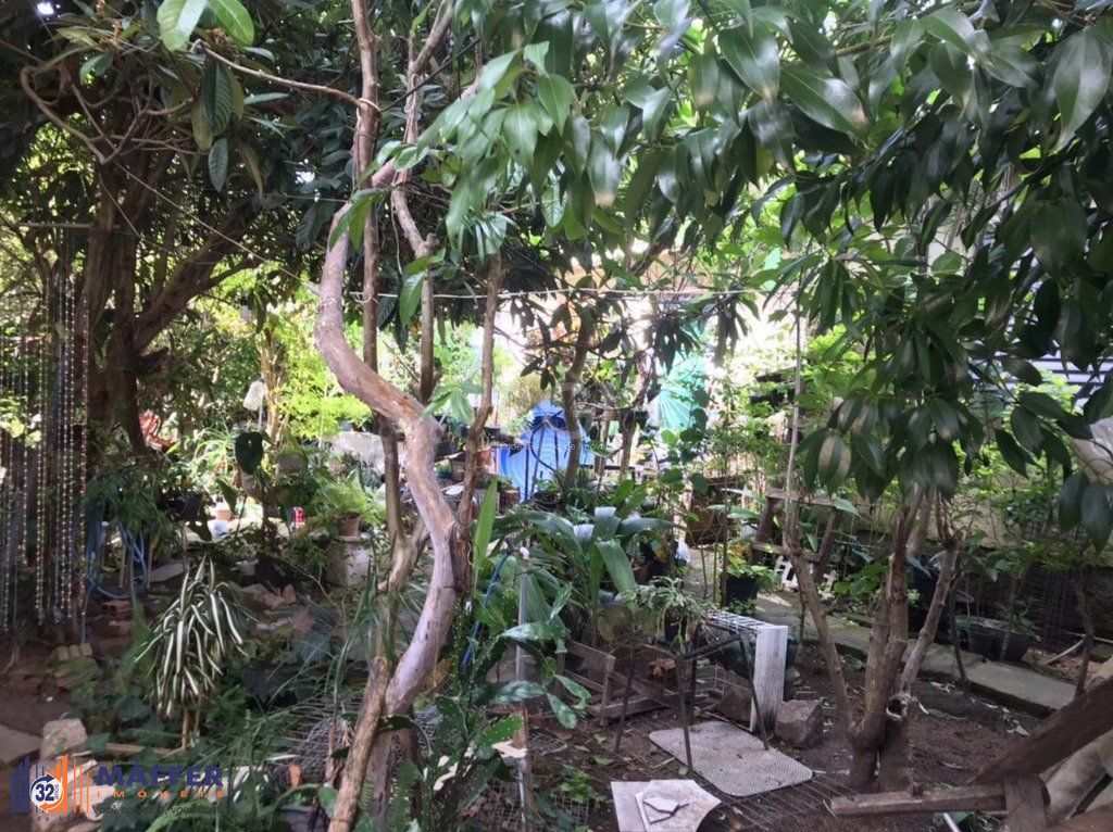 Terreno, à venda, Tristeza - Porto Alegre — foto 5