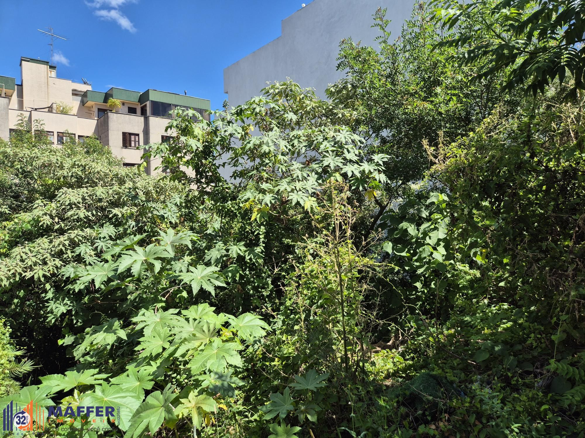 Terreno, 360 m² - Foto 4