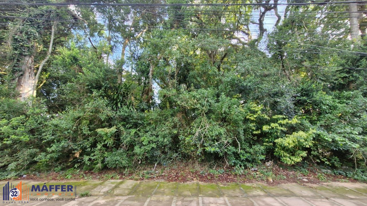 Terreno, 6200 m² - Foto 8