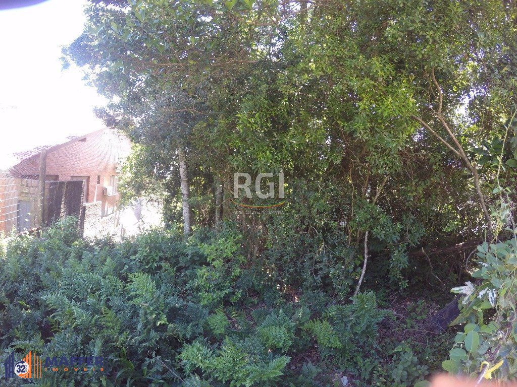 Terreno, à venda, Teresópolis - Porto Alegre — foto 3