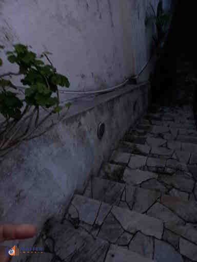 Casa, 3 quartos, 250 m² - Foto 31