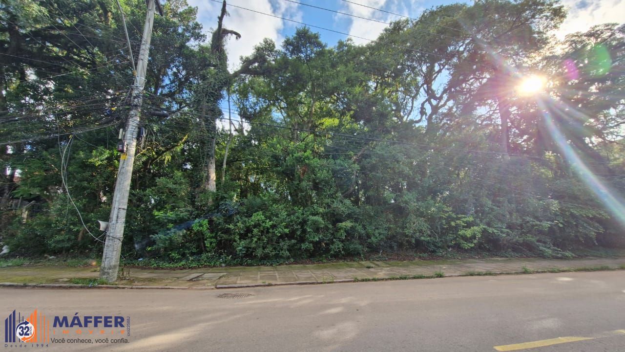 Terreno, 6200 m² - Foto 4