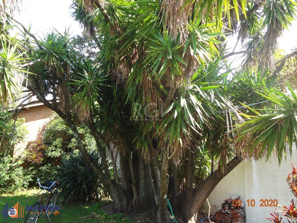 Casa, 3 quartos, 250 m² - Foto 9