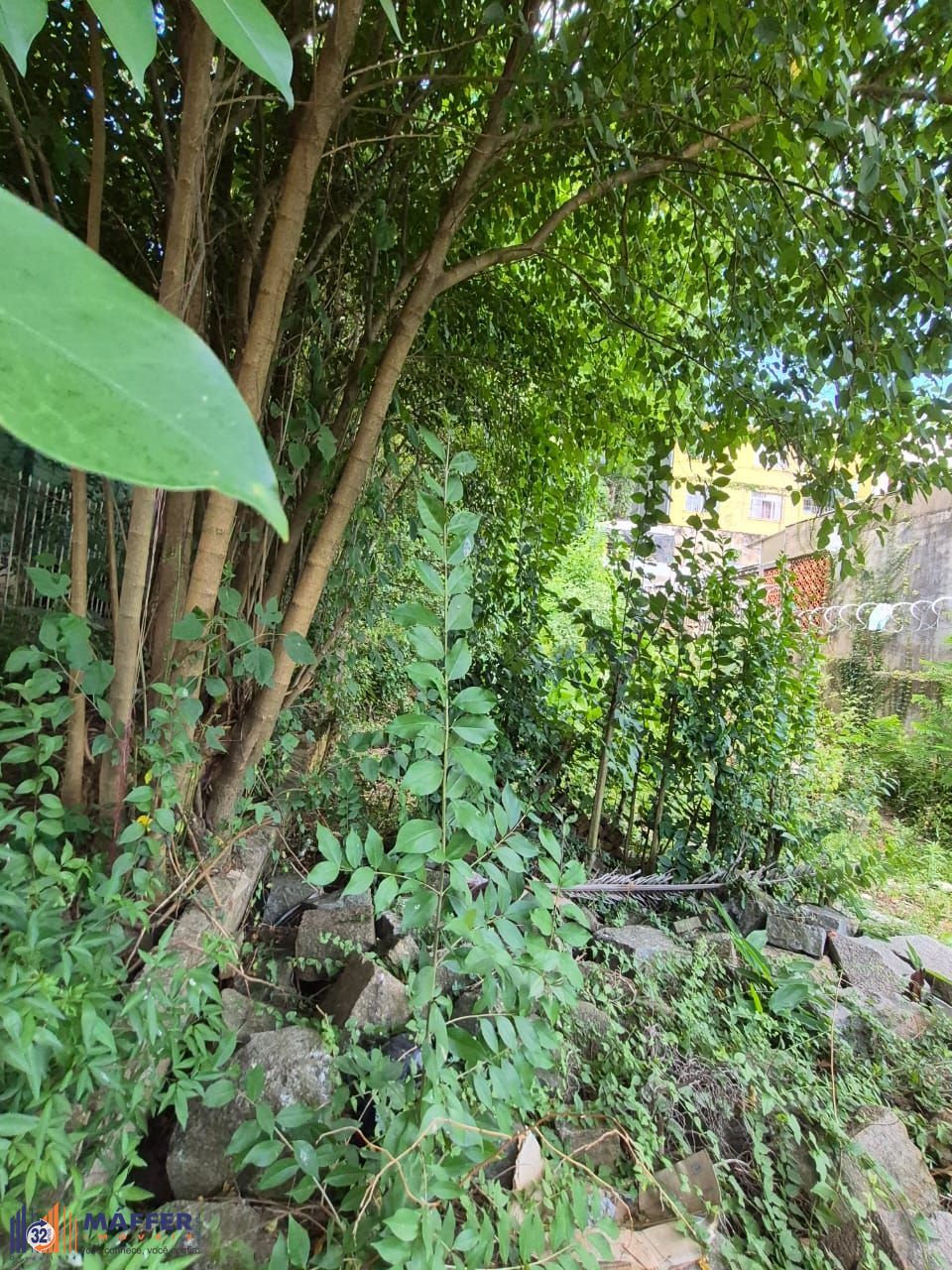 Terreno, 268 m² - Foto 11