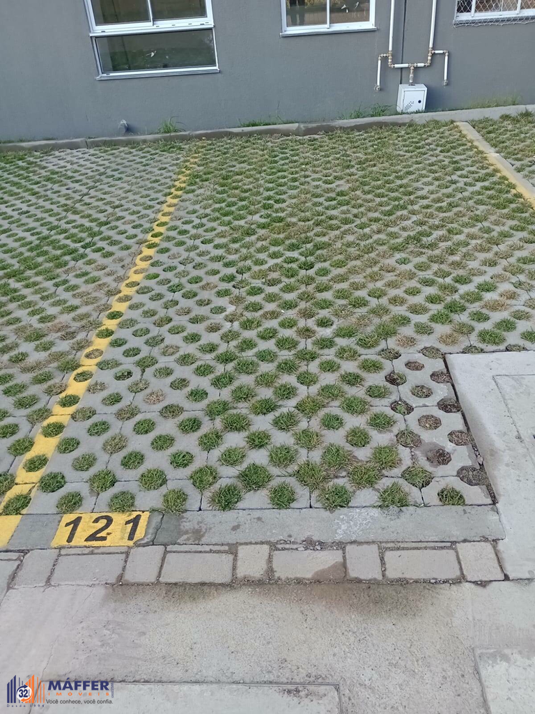 2562689.jpeg