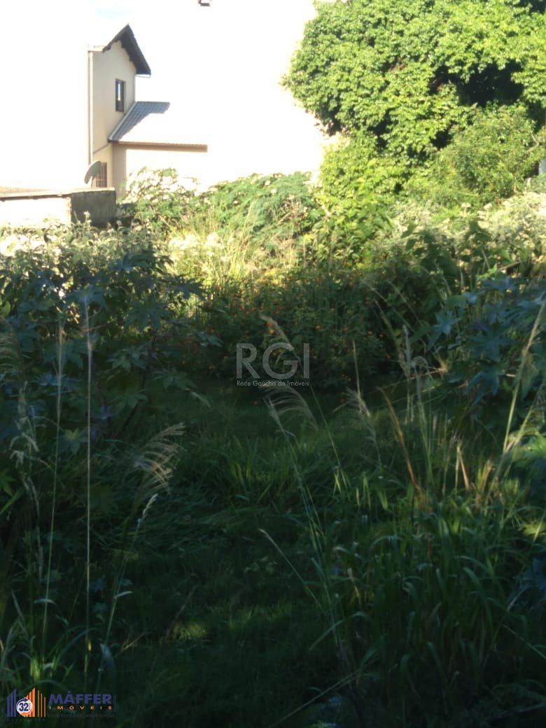Terreno, 381 m² - Foto 6